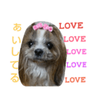 CREAdog（個別スタンプ：6）