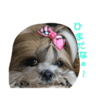 CREAdog（個別スタンプ：7）