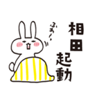 相田のうさぎスタンプ（個別スタンプ：11）