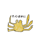 tara stamp（個別スタンプ：4）