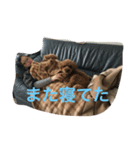 @adgjmptwp'（個別スタンプ：2）