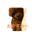 @adgjmptwp'（個別スタンプ：3）