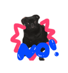 black pug TOTO（個別スタンプ：8）