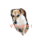 JRT AL＆JET（個別スタンプ：2）