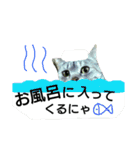 rara cat stamp2（個別スタンプ：10）