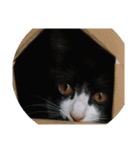 minna iiko（個別スタンプ：30）