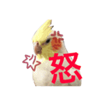 yura familys（個別スタンプ：15）