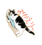 三毛猫の毎日（個別スタンプ：20）