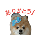 癒しのるぅ（個別スタンプ：7）