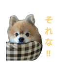 癒しのるぅ（個別スタンプ：16）