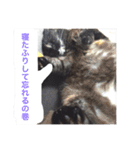 モフとあんみつ（個別スタンプ：2）