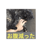 モフとあんみつ（個別スタンプ：11）
