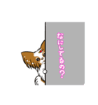 happy  cocoa（個別スタンプ：2）