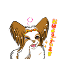 happy  cocoa（個別スタンプ：20）