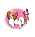 happy  cocoa（個別スタンプ：31）