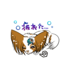 happy  cocoa（個別スタンプ：36）