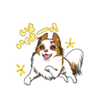 happy  cocoa（個別スタンプ：39）
