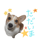 はなひまスタンプ（個別スタンプ：8）