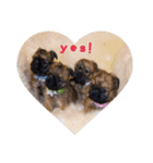 Brussels Griffons2（個別スタンプ：6）