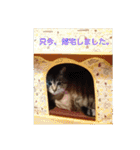 青い目の猫妖怪（個別スタンプ：8）