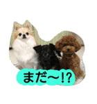 Kswaii dog5（個別スタンプ：8）