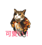 やさぐれブー猫（個別スタンプ：8）