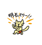 明石です！【お名前スタンプ】（個別スタンプ：3）