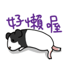 Guinea pig - Nazi（個別スタンプ：5）