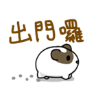 Guinea pig - Nazi（個別スタンプ：11）