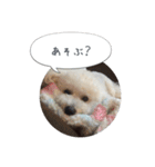 パフェちゃんまん（個別スタンプ：6）