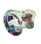 ちろるのすたんぷ。（個別スタンプ：4）