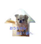 ちろるのすたんぷ。（個別スタンプ：6）