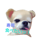 ちろるのすたんぷ。（個別スタンプ：7）