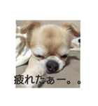 ちろるのすたんぷ。（個別スタンプ：14）