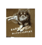 ルキ様の日常（個別スタンプ：5）