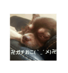 ルキ様の日常（個別スタンプ：7）