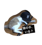 ジャッキーとその家族（個別スタンプ：13）