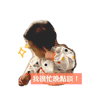 Young-Daily（個別スタンプ：6）