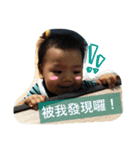 Young-Daily（個別スタンプ：8）