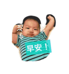 Young-Daily（個別スタンプ：15）
