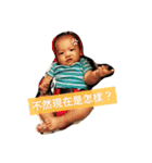 Young-Daily（個別スタンプ：16）