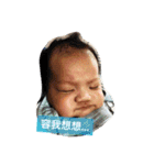 Young-Daily（個別スタンプ：24）