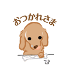 Belka Sticker（個別スタンプ：8）