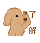 Belka Sticker（個別スタンプ：11）