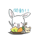 The adorkable rabbit（個別スタンプ：8）