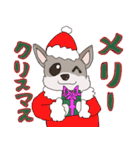 ポメまるジジくん！クリスマス＆お正月ver.（個別スタンプ：8）