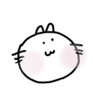 白いねこのしゅしゅ。（個別スタンプ：1）