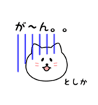 としかさん用しろねこ（個別スタンプ：28）