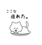 ここなさん用しろねこ（個別スタンプ：26）