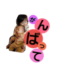 yes  i  can（個別スタンプ：4）